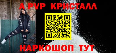 ешки Кингисепп