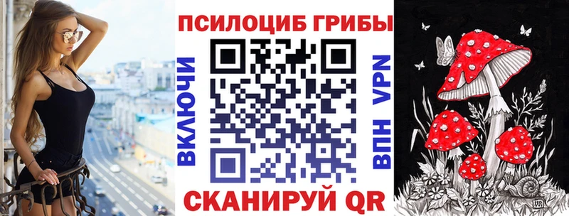 как найти закладки  Тихорецк  ОМГ ОМГ ТОР  Псилоцибиновые грибы Magic Shrooms 