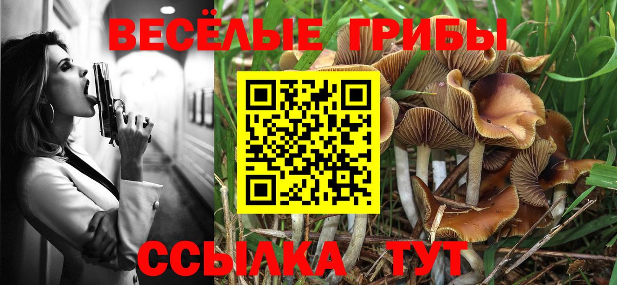 Псилоцибиновые грибы мицелий  Вход с VPN  Тихорецк 