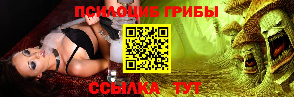 Галлюциногенные грибы GOLDEN TEACHER Тихорецк